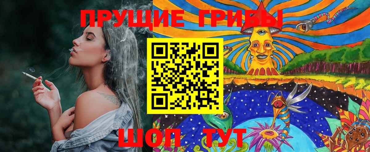 Галлюциногенные грибы Cubensis Краснодар