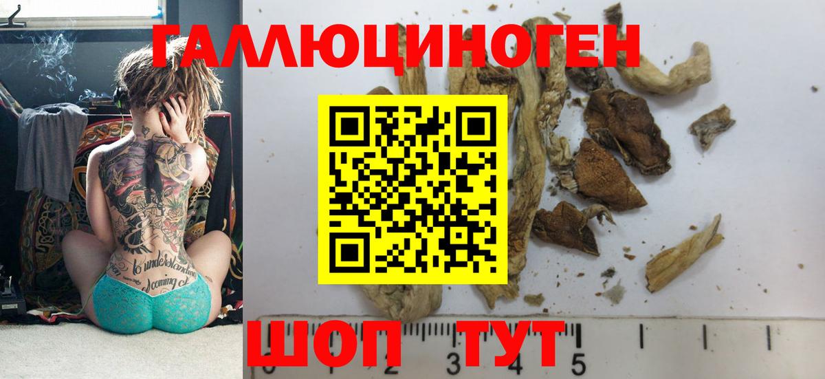 Псилоцибиновые грибы MAGIC MUSHROOMS  Краснодар  закладки  Псилоцибиновые грибы Psilocybe 