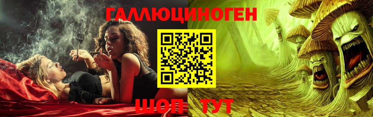 Галлюциногенные грибы Psilocybine cubensis  Вход с VPN  Псилоцибиновые грибы мухоморы  Краснодар 
